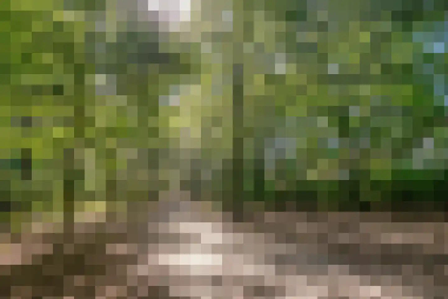Rutger Loenenweg 62 Austerlitz thumbnail 37