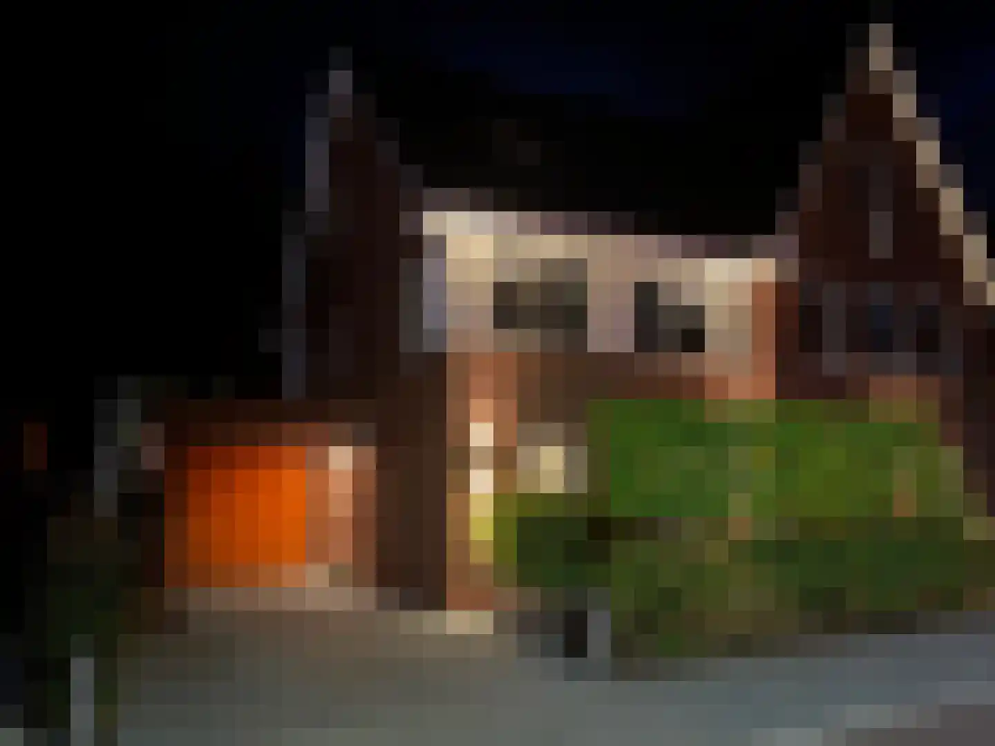 Rutger Loenenweg 62 Austerlitz thumbnail 38