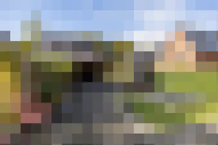 Rutger Loenenweg 81 Austerlitz thumbnail 15