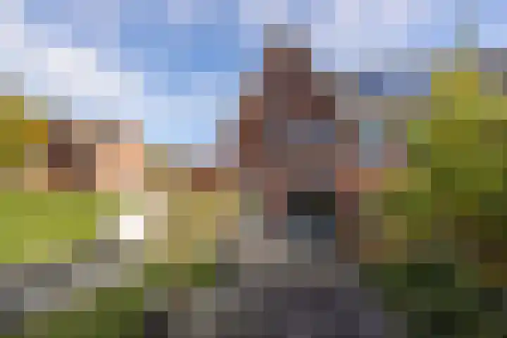 Rutger Loenenweg 81 Austerlitz thumbnail 18