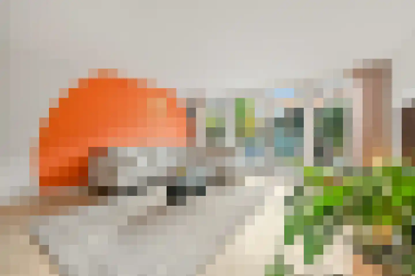 Rutger Metelerkamppad 14 Rotterdam thumbnail 16