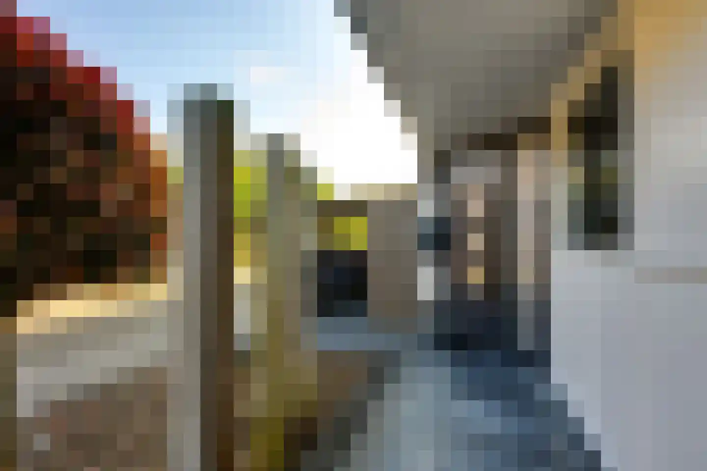 Rutger Metelerkamppad 18 Rotterdam thumbnail 10