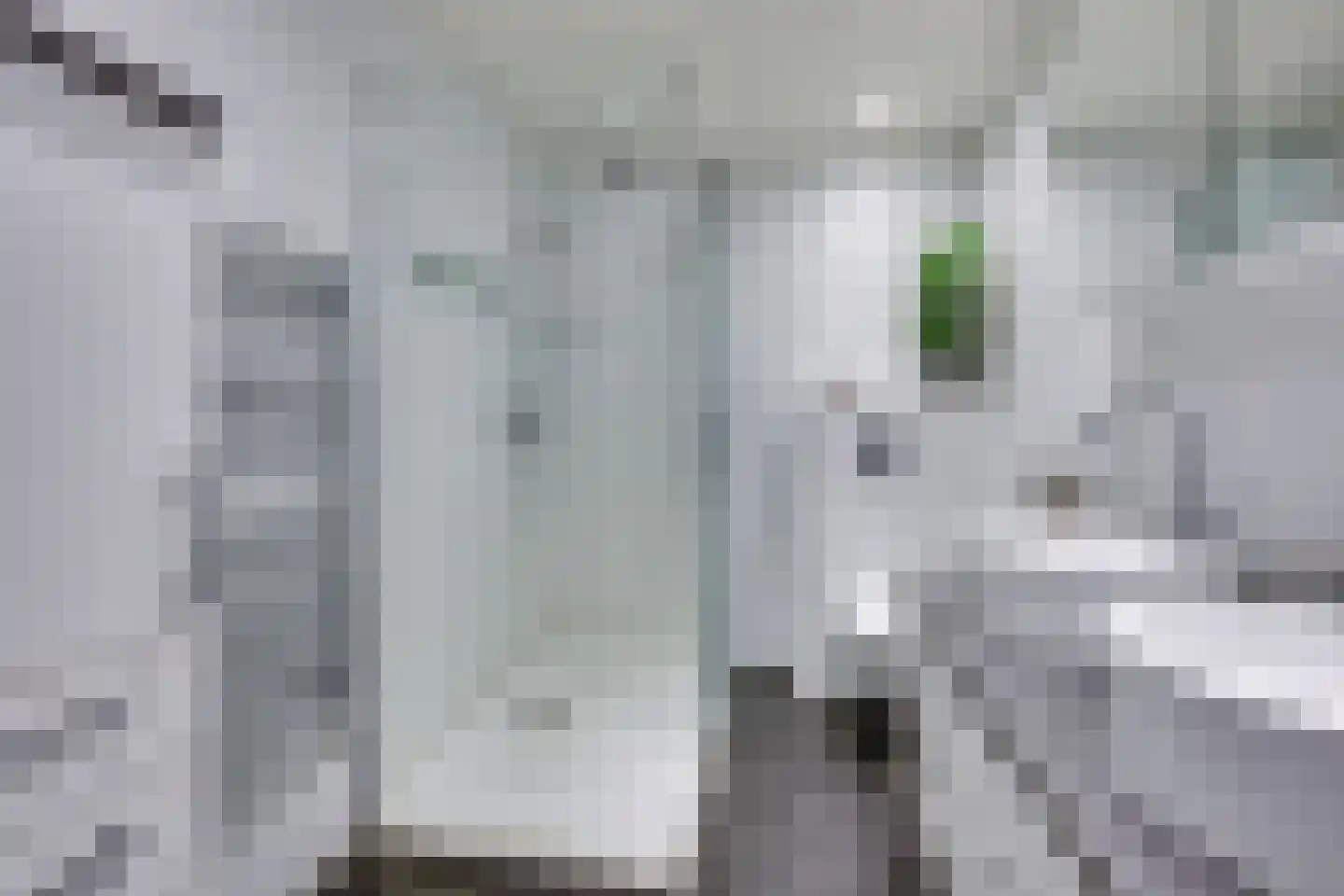 Rutger Metelerkamppad 18 Rotterdam thumbnail 5