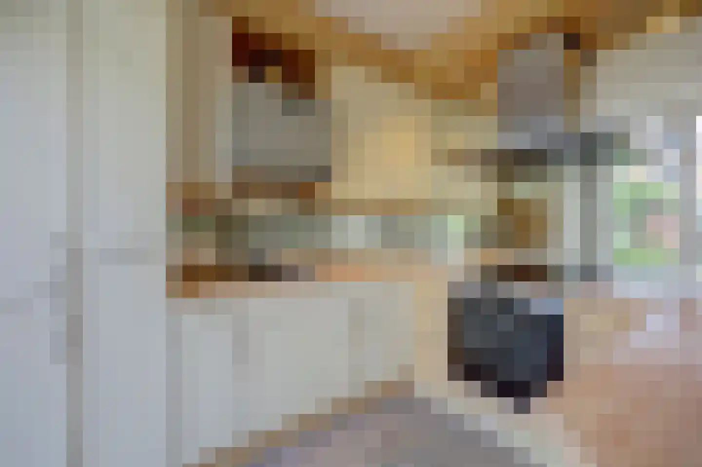 Rutger van Keulenstraat 63 Rotterdam thumbnail 11