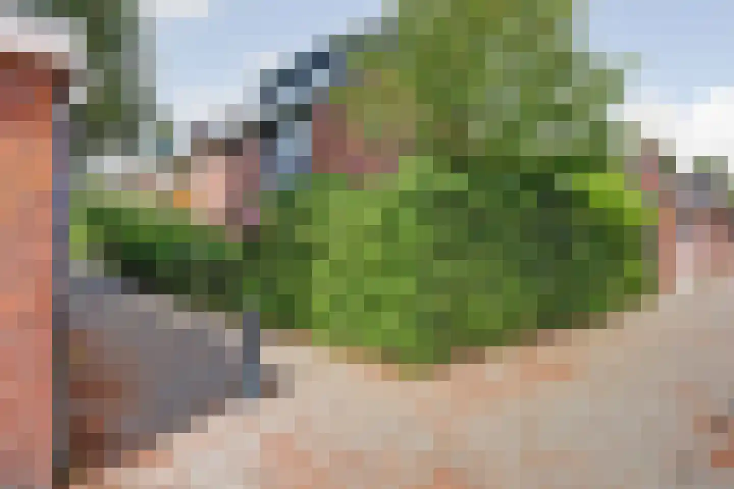 Rutger van Keulenstraat 63 Rotterdam thumbnail 50