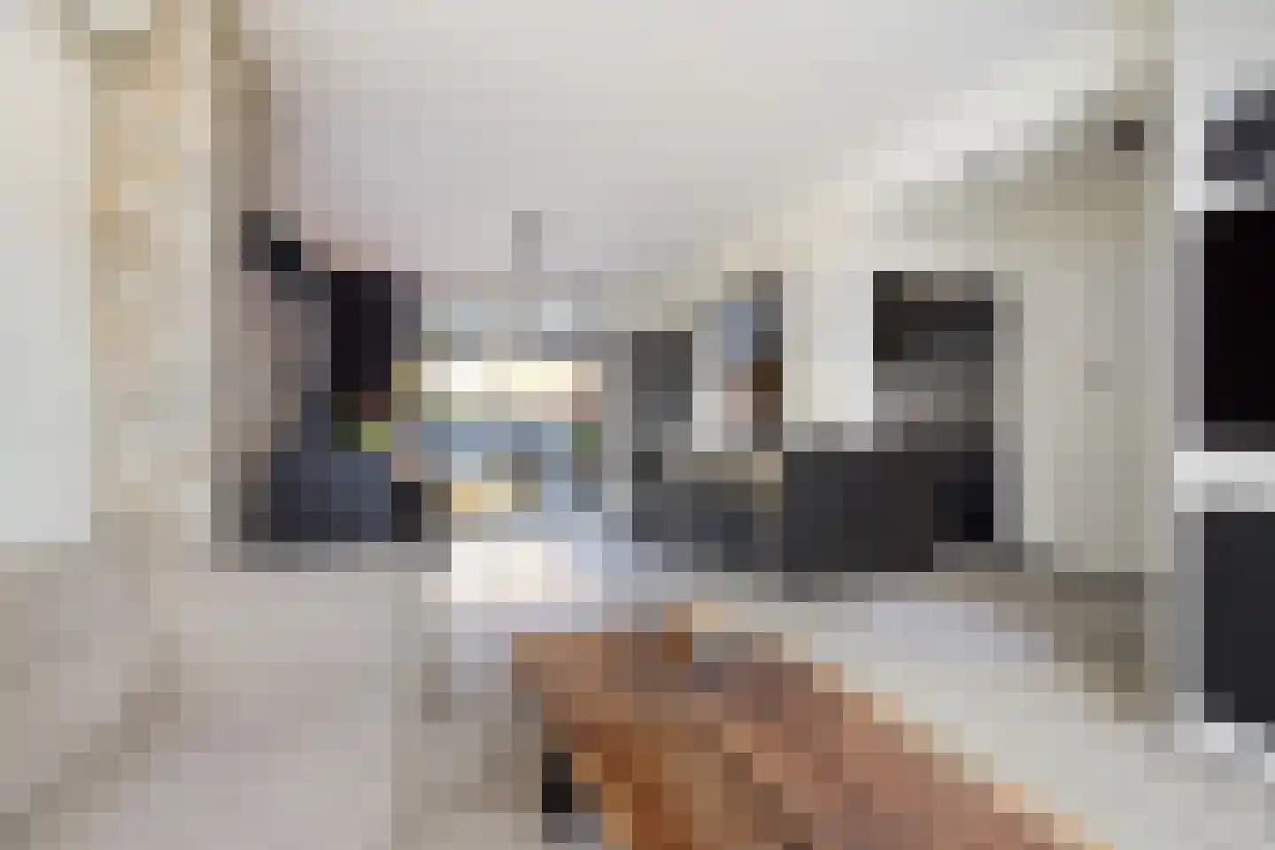 Rutger van Keulenstraat 95 Rotterdam thumbnail 11
