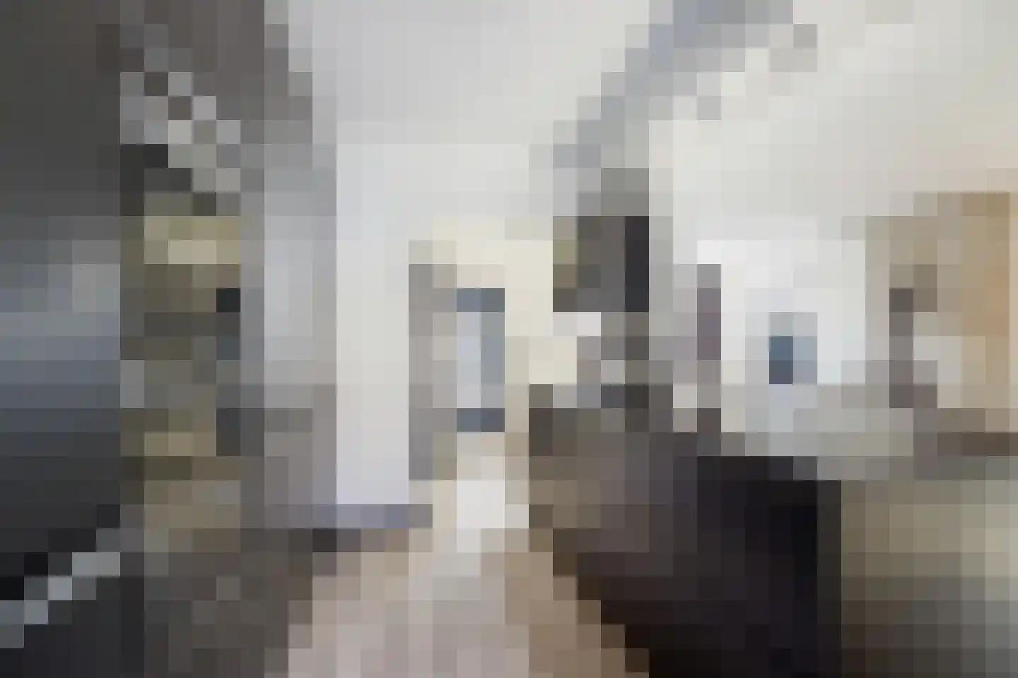 Rutger van Keulenstraat 95 Rotterdam thumbnail 17
