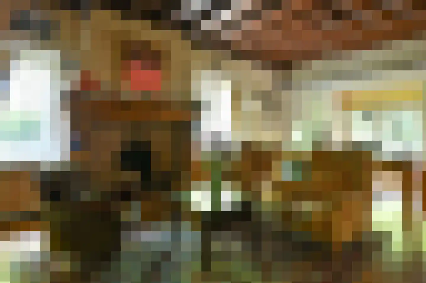 Rutgers van Rozenburglaan 1 Baarn thumbnail 16