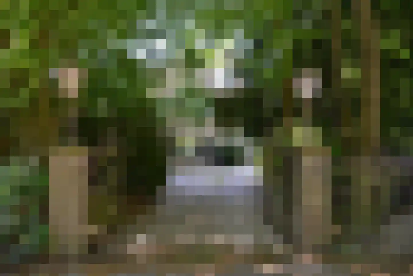 Rutgers van Rozenburglaan 1 Baarn thumbnail 42