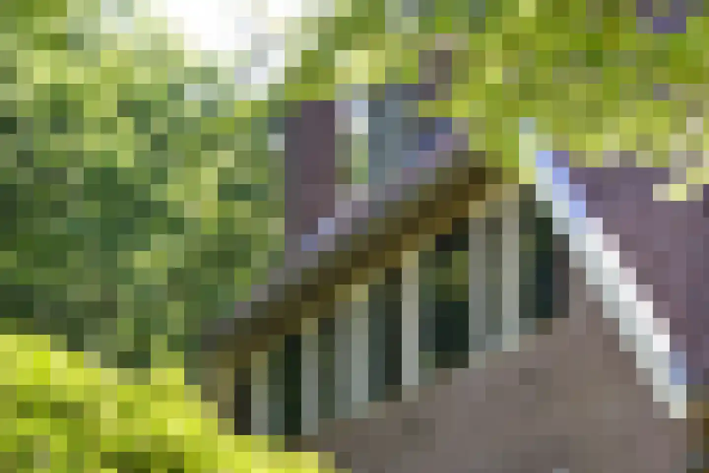 Rutgers van Rozenburglaan 1 Baarn thumbnail 44