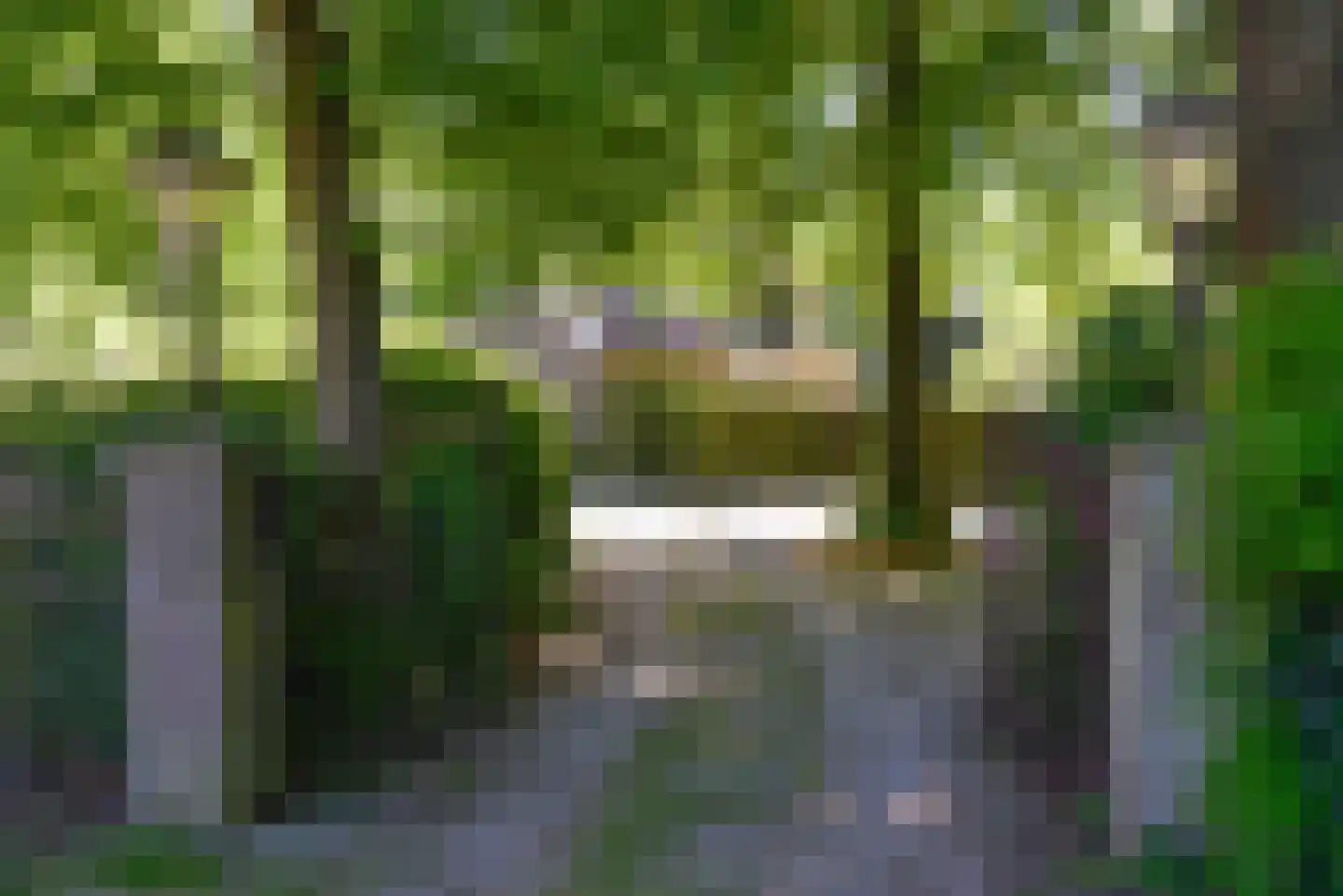 Rutgers van Rozenburglaan 1 Baarn thumbnail 46
