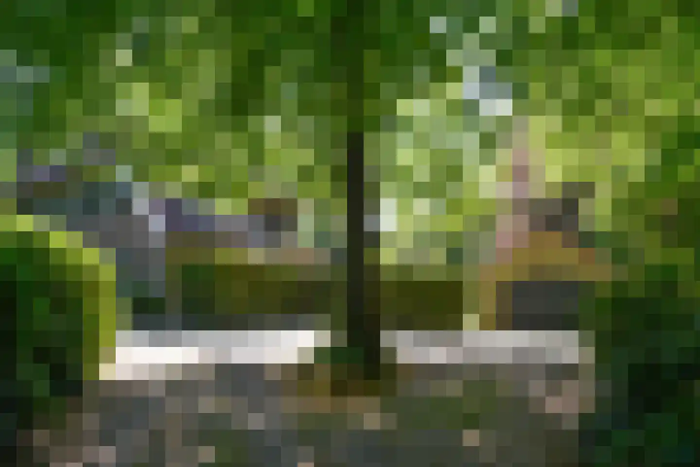Rutgers van Rozenburglaan 1 Baarn thumbnail 47