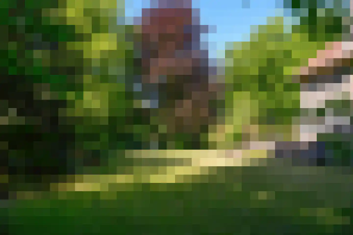 Rutgers van Rozenburglaan 1 Baarn thumbnail 5