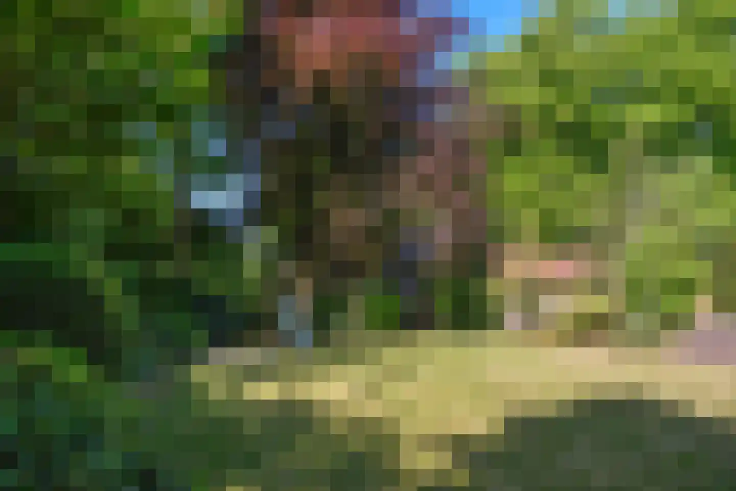 Rutgers van Rozenburglaan 1 Baarn thumbnail 50