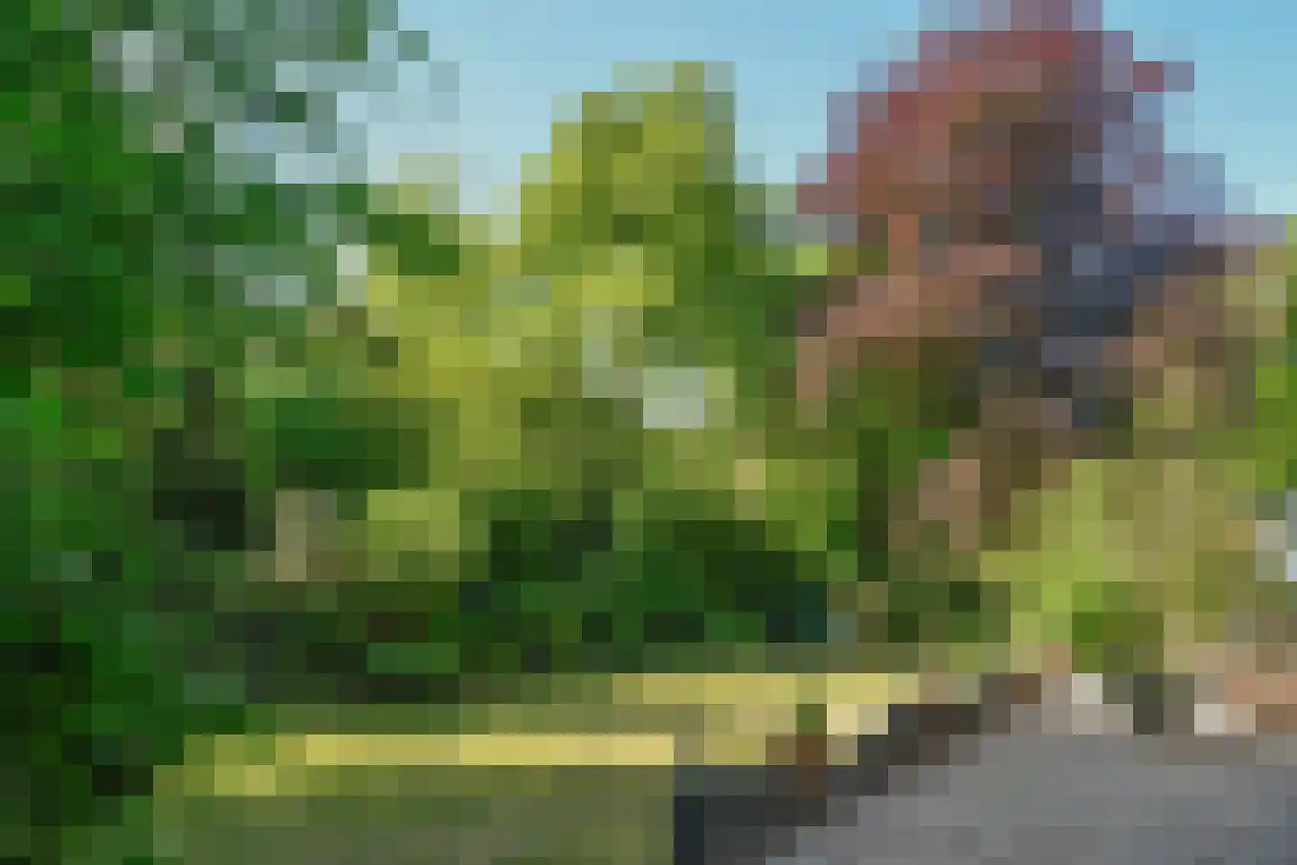 Rutgers van Rozenburglaan 1 Baarn thumbnail 6
