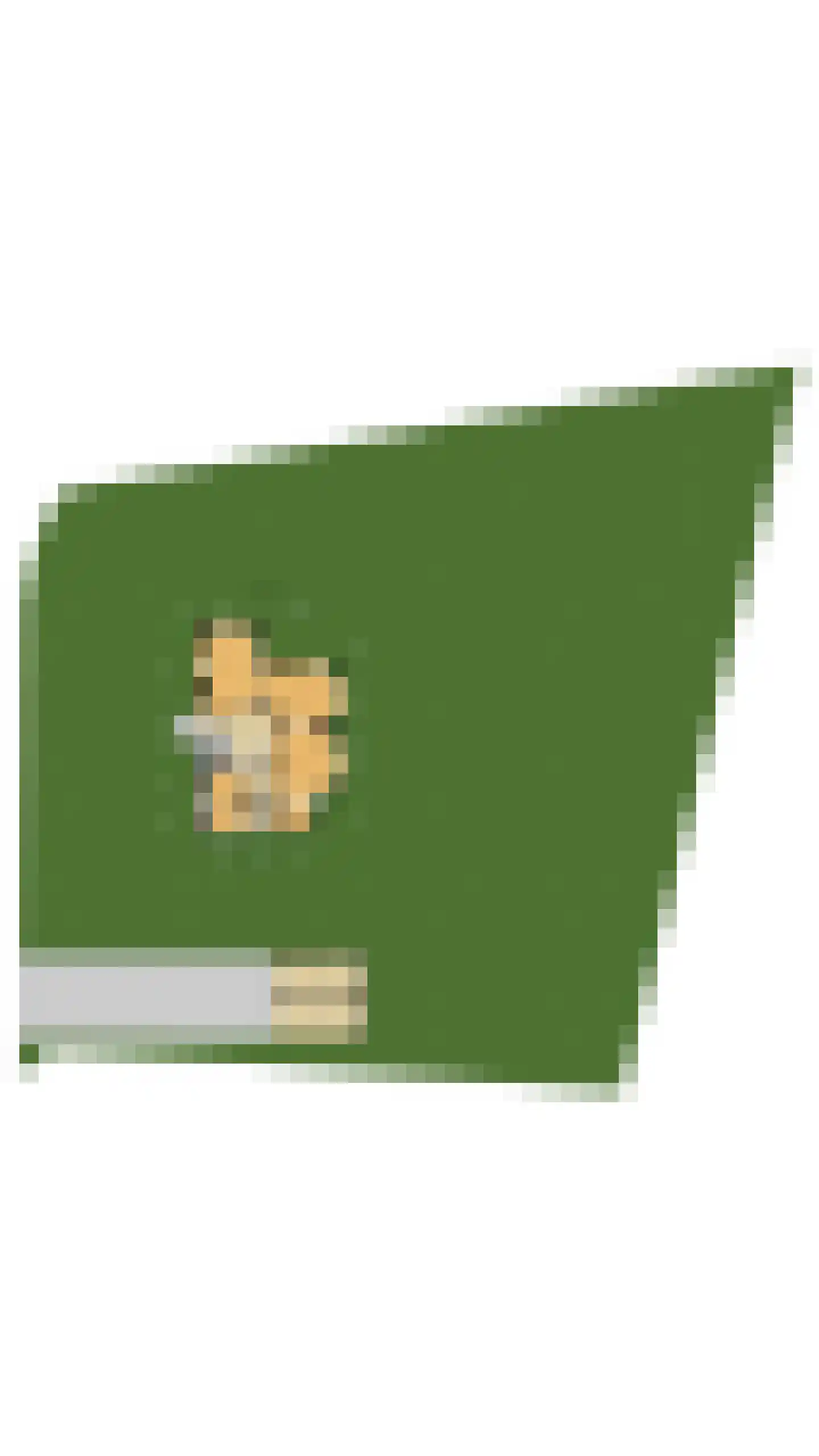 Rutgers van Rozenburglaan 1 Baarn thumbnail 62