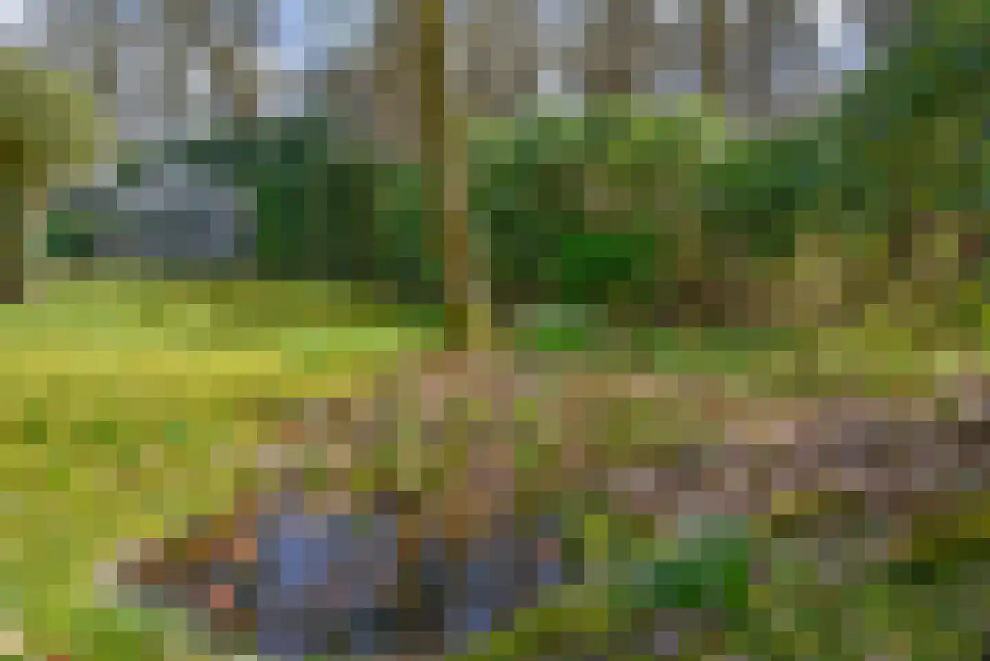 Rutgers van Rozenburglaan 11 Baarn thumbnail 41