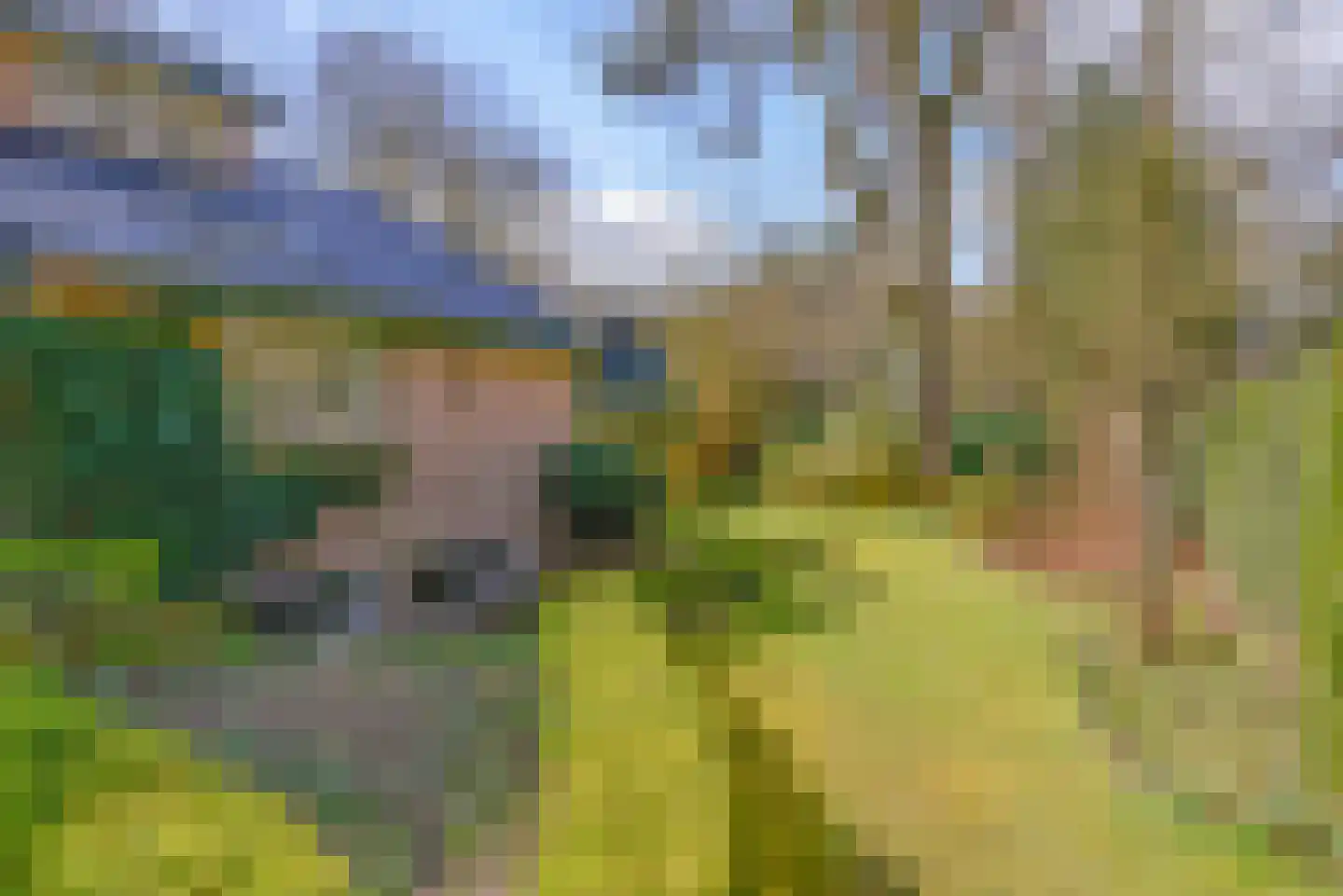 Rutgers van Rozenburglaan 11 Baarn thumbnail 5