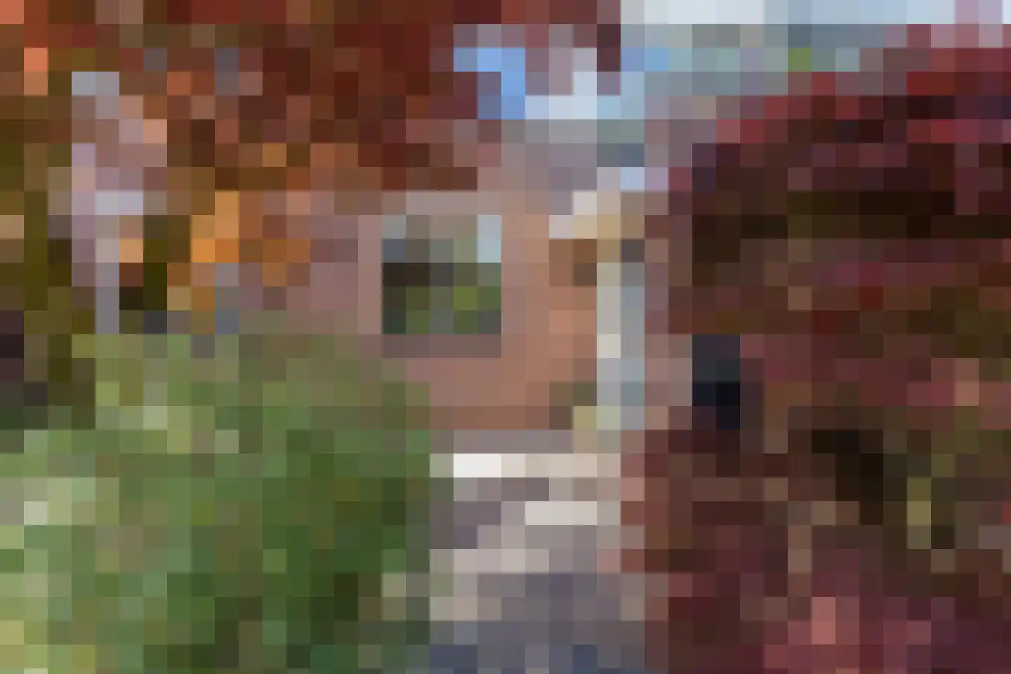 Rutgerskamp 30 Ermelo thumbnail 33