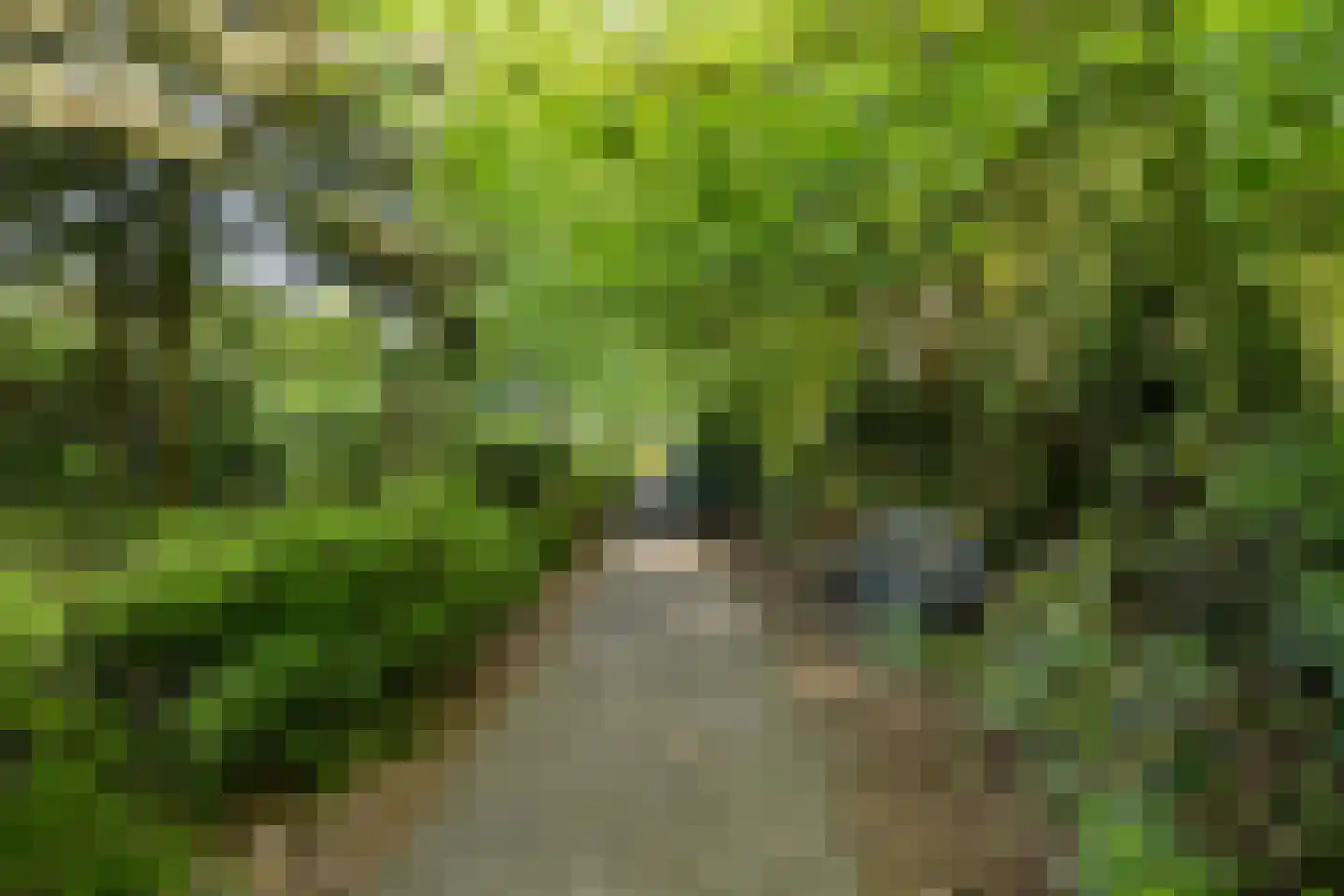 Rutgerskamp 30 Ermelo thumbnail 36