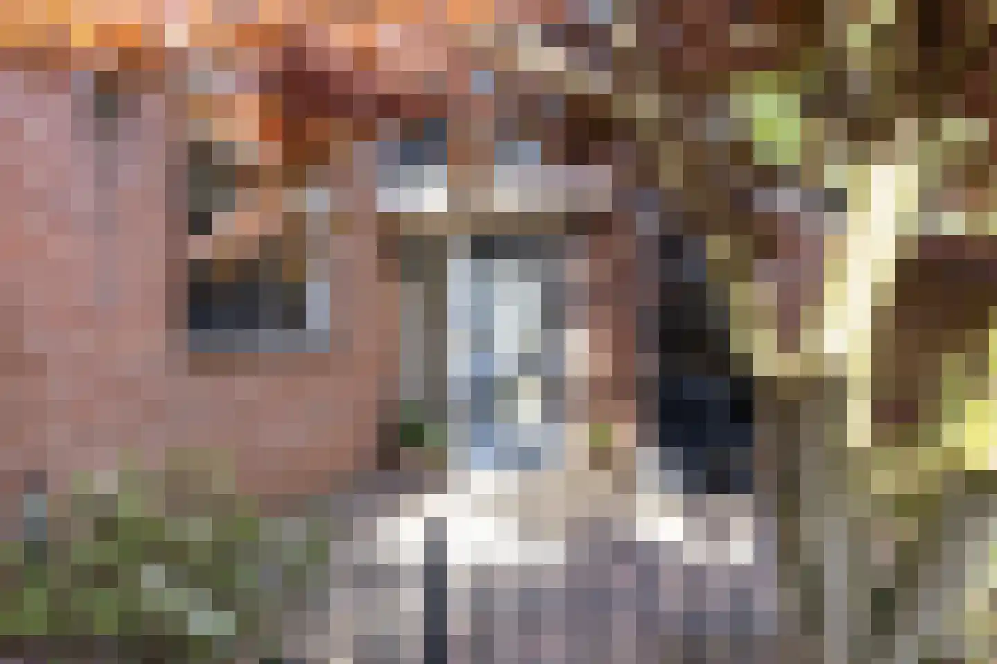 Rutgerskamp 30 Ermelo thumbnail 4