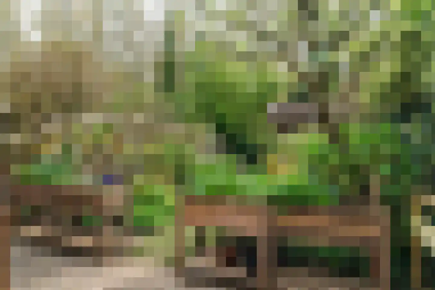Rutgerskamp 37 Ermelo thumbnail 32