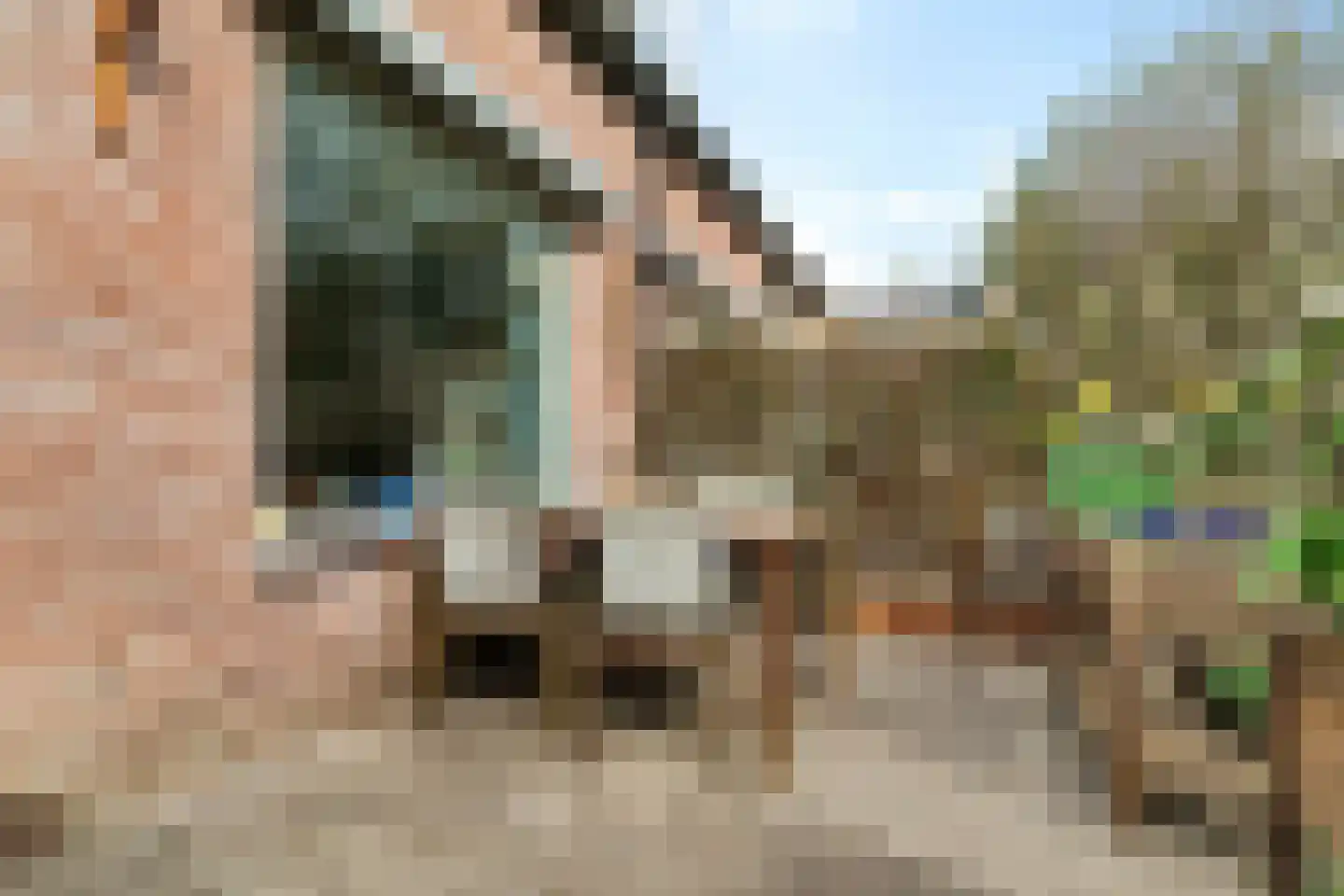 Rutgerskamp 37 Ermelo thumbnail 33
