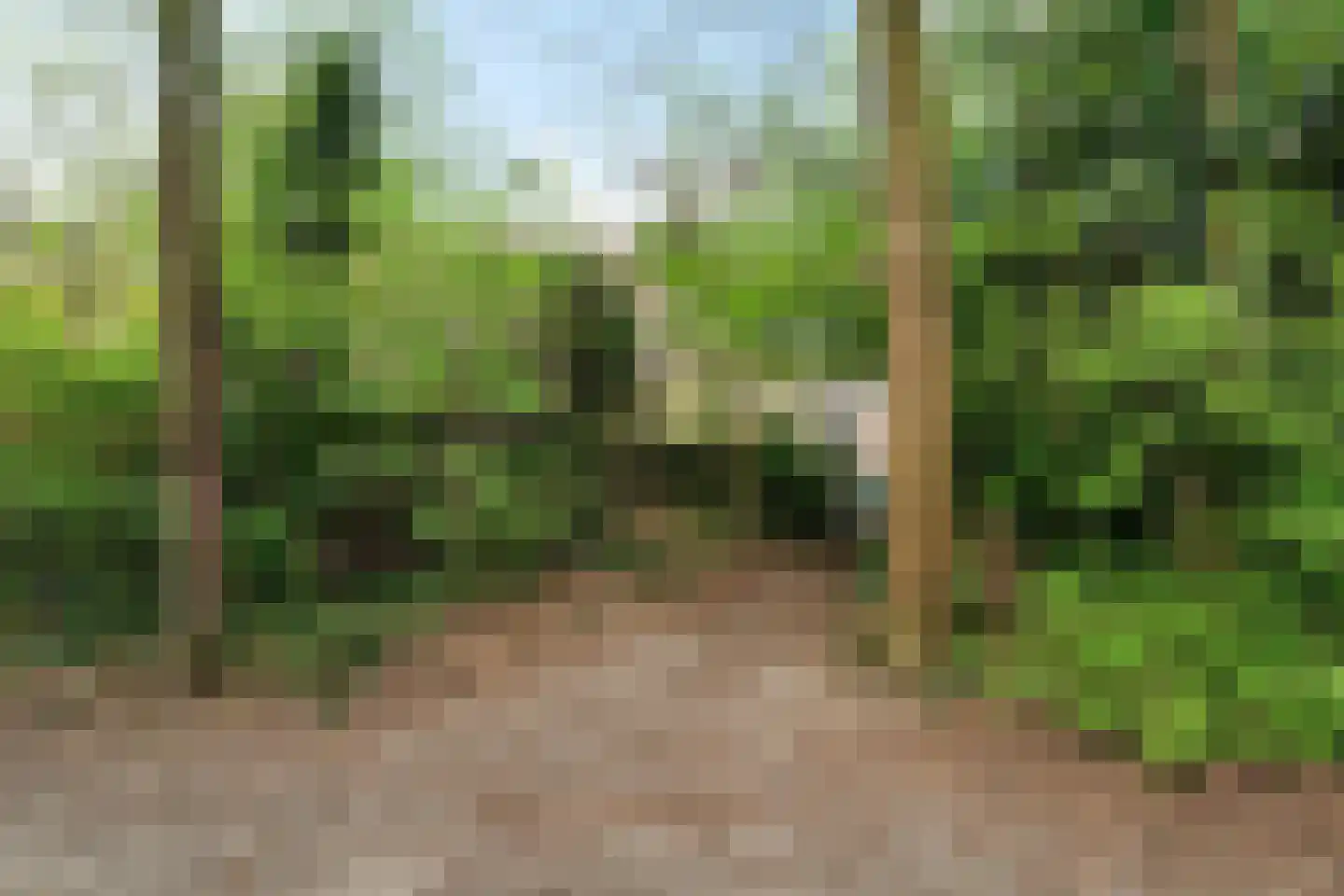 Rutgerskamp 37 Ermelo thumbnail 37