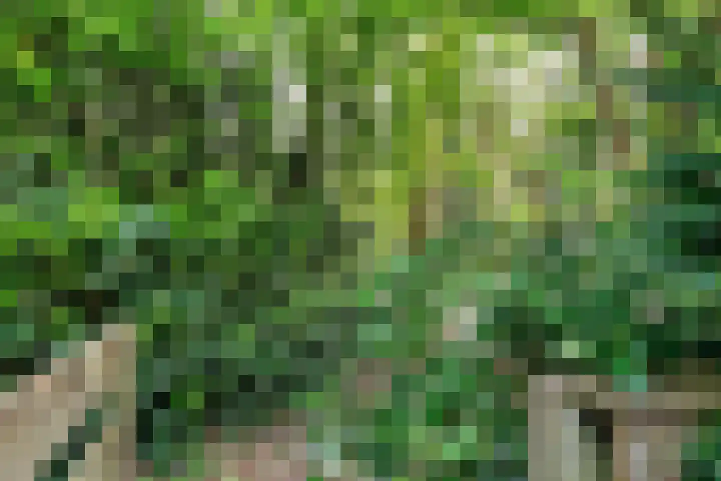 Rutgerskamp 37 Ermelo thumbnail 38