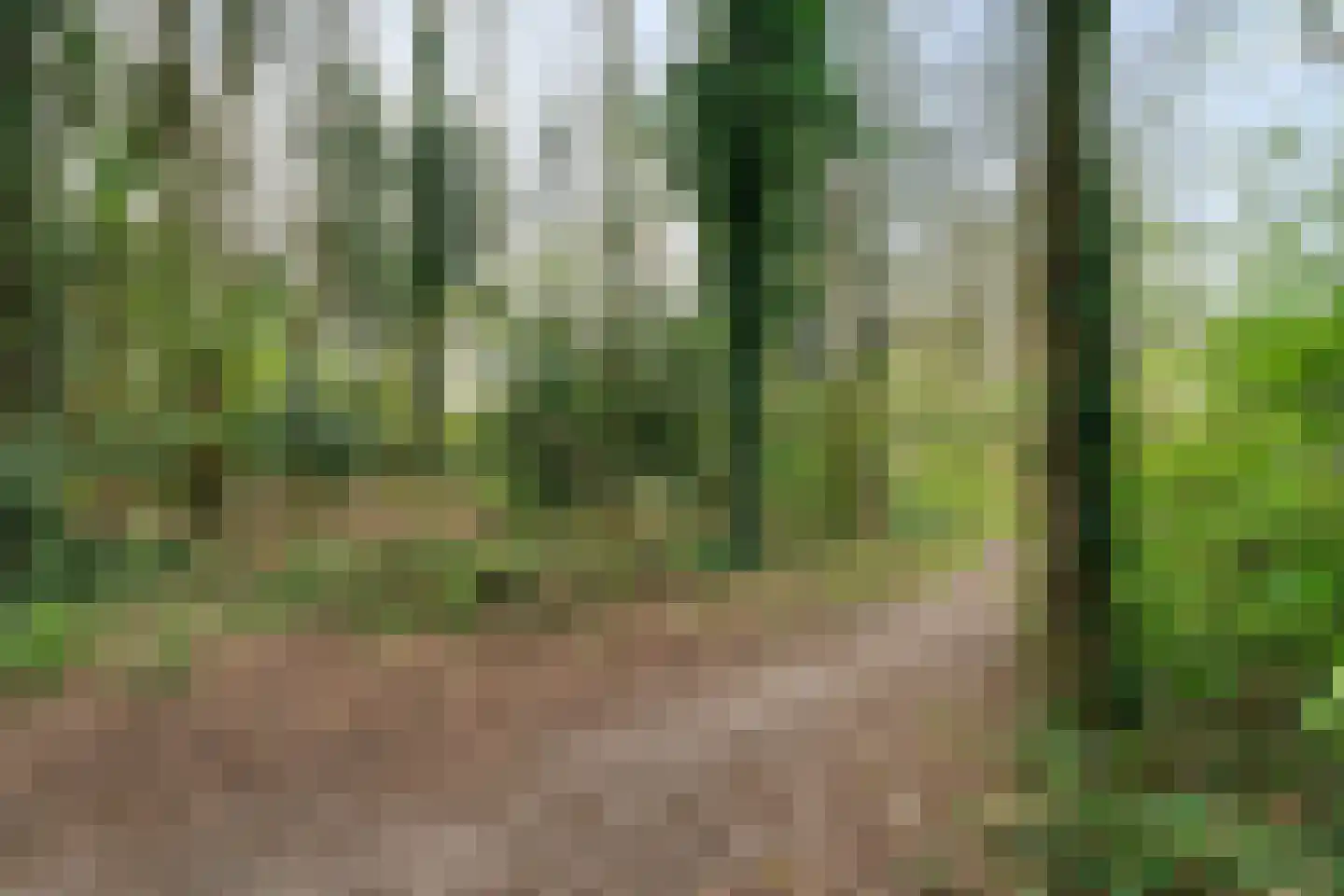 Rutgerskamp 37 Ermelo thumbnail 39