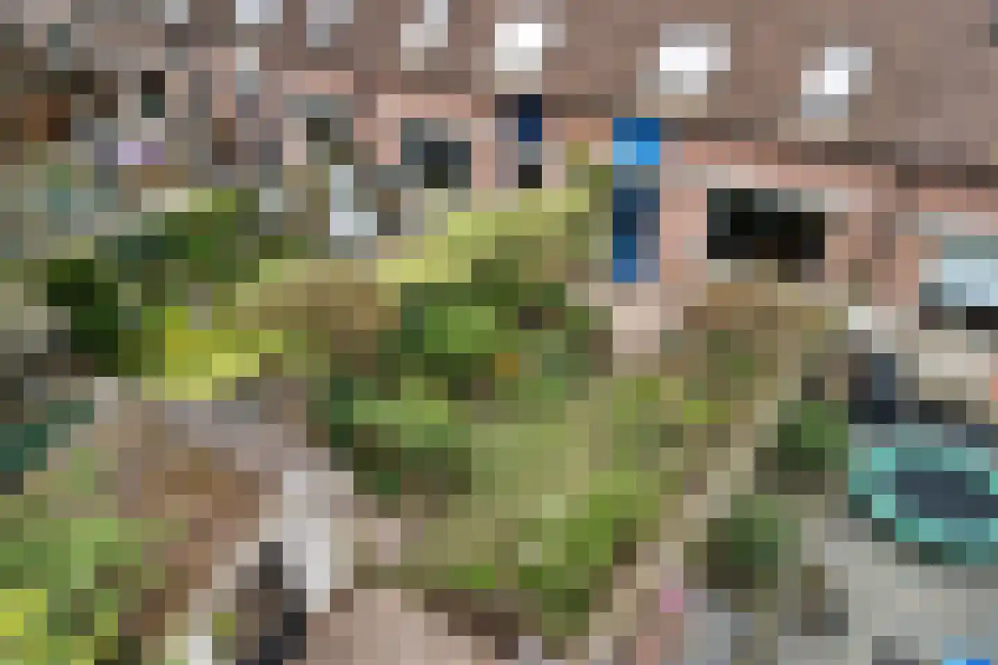 Rutgerskamp 37 Ermelo thumbnail 44