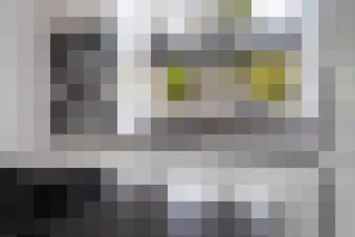 Rutgerskamp 48 Ermelo thumbnail 16