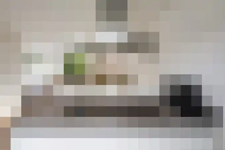 Rutgerskamp 48 Ermelo thumbnail 18