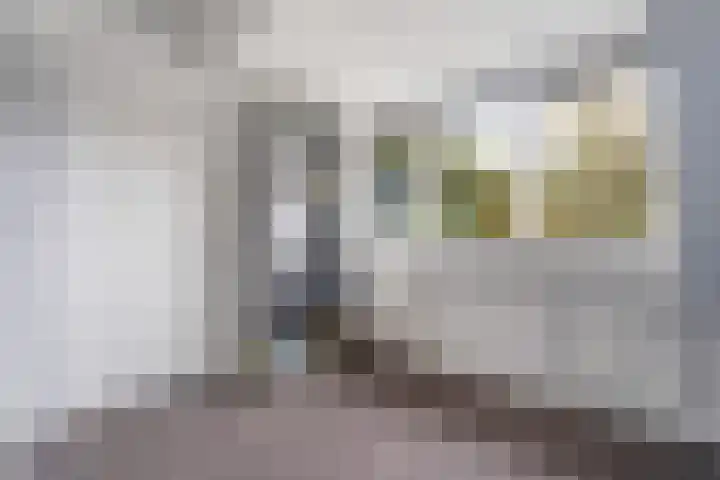 Rutgerskamp 48 Ermelo thumbnail 38