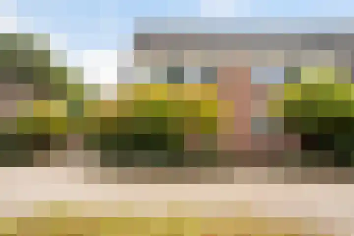 Rutgerskamp 48 Ermelo thumbnail 4