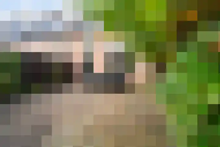 Rutgerskamp 48 Ermelo thumbnail 41