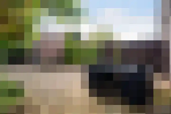 Rutgerskamp 48 Ermelo thumbnail 42
