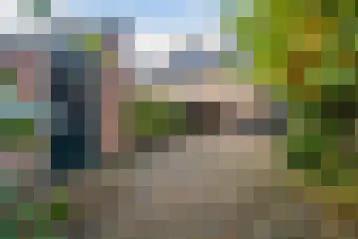 Rutgerskamp 48 Ermelo thumbnail 43