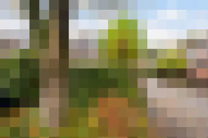 Rutgerskamp 48 Ermelo thumbnail 44
