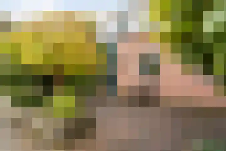 Rutgerskamp 48 Ermelo thumbnail 45