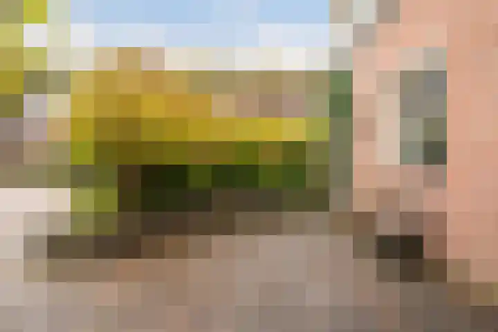 Rutgerskamp 48 Ermelo thumbnail 47