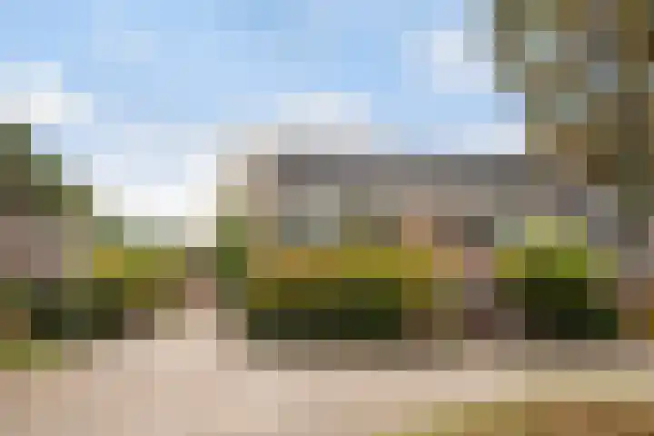 Rutgerskamp 48 Ermelo thumbnail 49