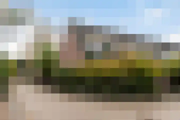 Rutgerskamp 48 Ermelo thumbnail 50