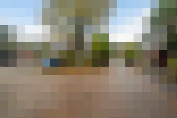 Rutgerskamp 48 Ermelo thumbnail 51