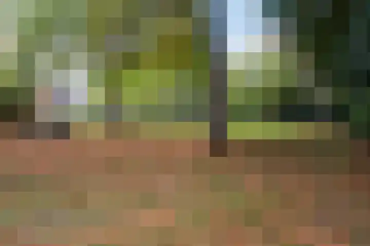 Rutgerskamp 48 Ermelo thumbnail 53