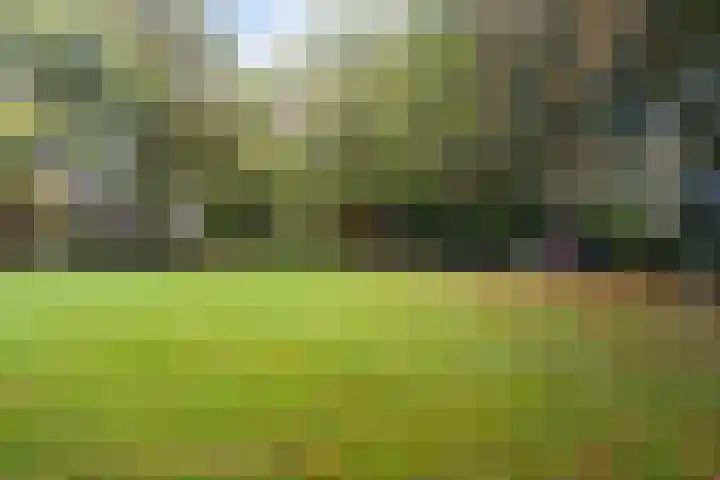 Rutgerskamp 48 Ermelo thumbnail 54