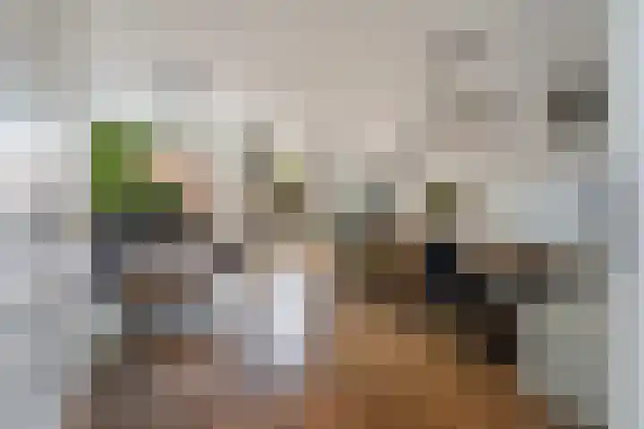 Rutgerskamp 48 Ermelo thumbnail 7