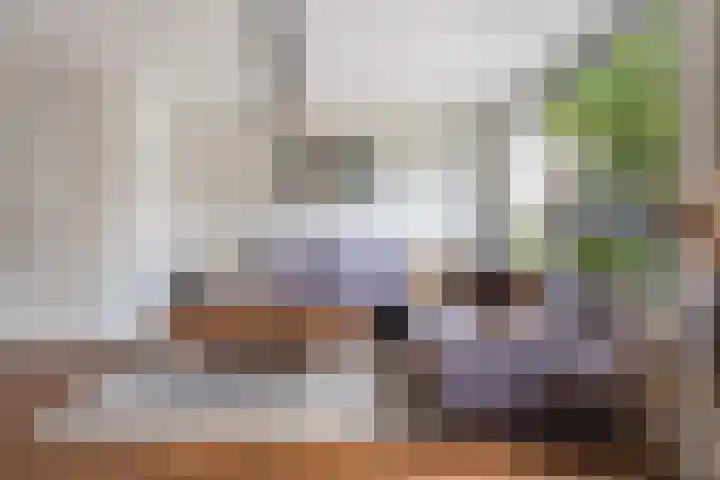 Rutgerskamp 48 Ermelo thumbnail 8