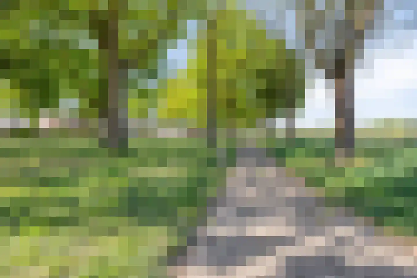 Rutgerstraat 17 Linne thumbnail 40