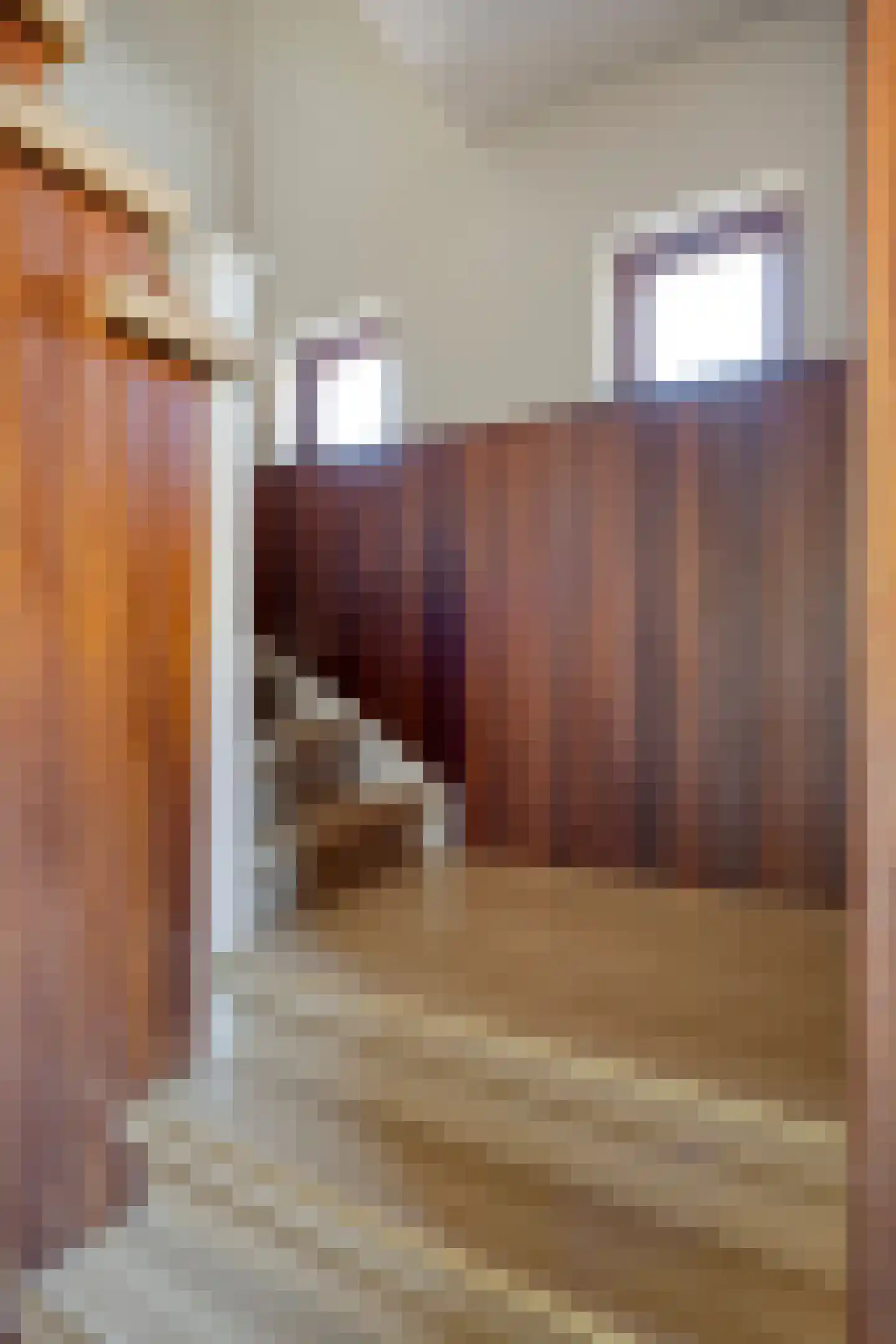 Rutgerstraat 17 Linne thumbnail 8